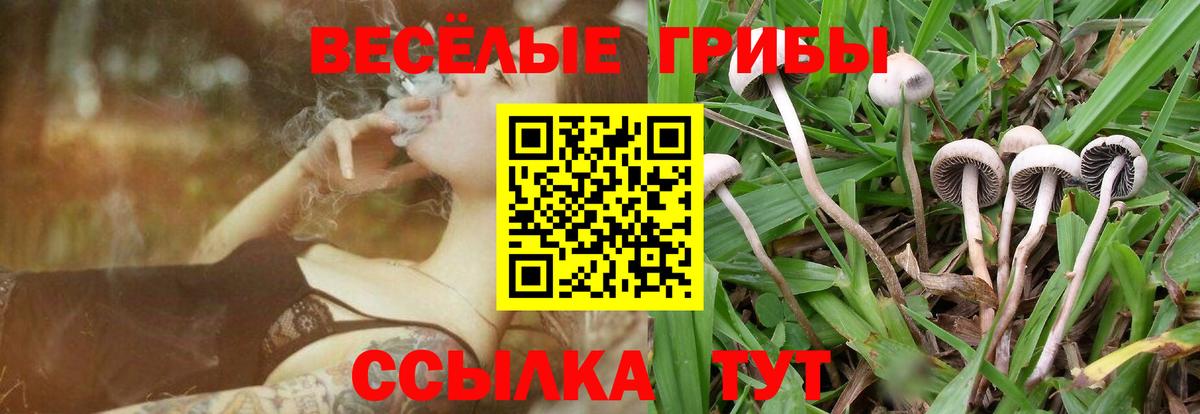Галлюциногенные грибы GOLDEN TEACHER  Галлюциногенные грибы Magic Shrooms  Сарапул  Вход с VPN 